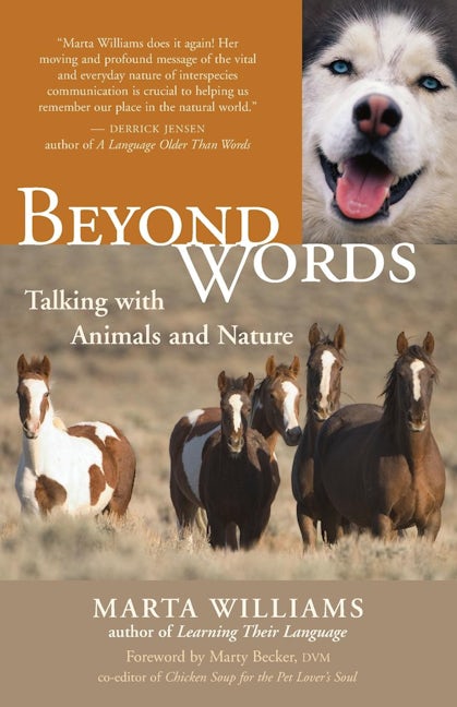 Book cover image for Beyond Words ISBN: 9781577314929